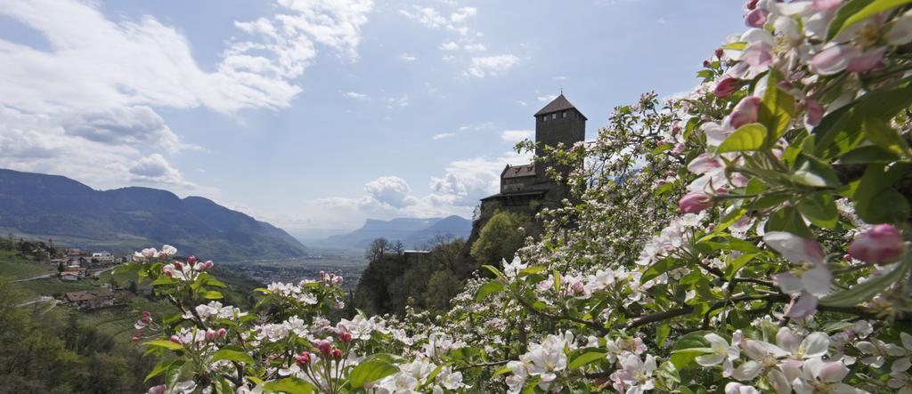 Hotel Zum Tiroler Adler Kültér fotó